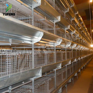 Système de cage à batterie automatique de type H pour l'élevage sans personnel de poulets pondeuses et de poussins reproducteurs - Product Image 3