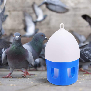<span class=keywords><strong>Bebedero</strong></span> tipo hervidor para aves, utilizado para la cría de pollos, <span class=keywords><strong>patos</strong></span> y gansos de corral, y para la cría de conejos. - Product Image 5
