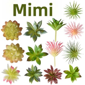 Planta Artificial de Simulación con Cabeza de Flor Carnosa, <span class=keywords><strong>Cactus</strong></span> Aloe en Maceta, Combinación de Plantas Verdes para Micro Paisajes - Product Image 5