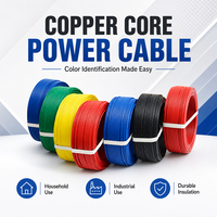 Kabel Listrik Tembaga SAA AS/NZS BS6004/6242Y 3 Inti 2 Inti 2.5mm 4mm 6mm Kabel Pipih Twin dan Earth TPS
