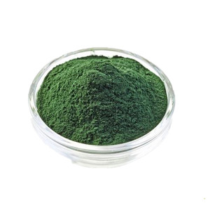 Poudre d'extrait de <span class=keywords><strong>chou</strong></span> frisé biologique pur - Product Image 1