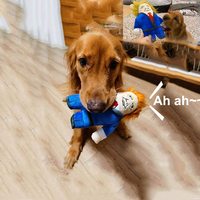 Meilleur jouet à couiner pour chien, résistant aux morsures, jouets à mâcher interactifs pour chien Donald-pour petits et moyens chiens