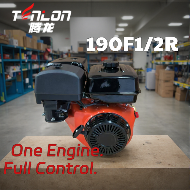 190F1/2 15HP Single 420cc Gasoline Engine 2:1 Gear Reduction-OHV Recoil Start PTO Ready for Pumps Agricultural Machinery