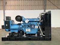 Direktvertrieb 650kVA 520kW Weichai Dieselgenerator mit Autostart, Geräuscharmes Dieselaggregat für Rechenzentren und Industrielle Notstromversorgung