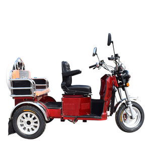 New Style Open Body <b>Passenger</b> for Elderly Driving Oil Gasoline 60Km/h Speed <b>2</b> <b>Passengers</b> - Product Image 2