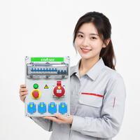 Boîtier de distribution d'énergie industrielle triphasé portable, boîte à prises IP40 230V à 6 prises, coffret de jonction électrique pour