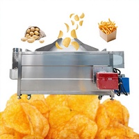 Friteuse Électronique pour Chips de Pommes de Terre et Viande, Friteuse Profonde, Prix d'Usine, Commercial