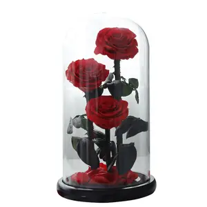 포장 상자 발렌타인 데이 선물 LED 빛 보존 된 영원한 장미 꽃 투명 유리 돔에 나무 기본 선물