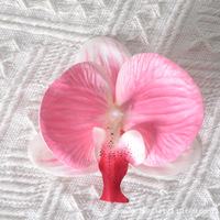 Kepala Bunga Anggrek Phalaenopsis Sutra Buatan, Bahan Floral 3D-Printed untuk Dekorasi Pernikahan, Kerajinan DIY, Aksesoris Rambut