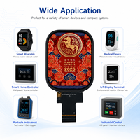Maßgefertigtes 2,01 Zoll TFT LCD Display Modul 240x296 IPS Bildschirm Mit SPI-Schnittstelle ST7789P3 Treiber-IC für Smartwatch OEM-Lösung