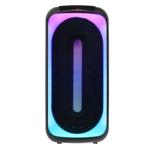 Dual 8 inches Trolley Plastic Speaker cabinets Support Memory Card Function