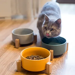 도매 주문 다채로운 패션 세라믹 애완 동물 그릇 개 고양이 대나무 선반 애완 동물 물 음식 피더