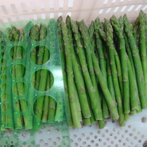 Asperges surgelées adaptées aux climats multi-régions, faciles à stocker et à circuler, pour les affaires d'import-export alimentaire transfrontalier - Product Image 5