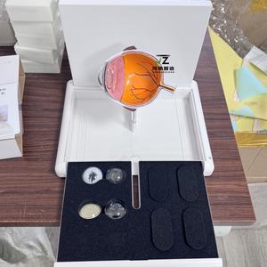 Modèle d'enseignement médical en PVC de l'anatomie de l'œil humain pour la cataracte - Product Image 6
