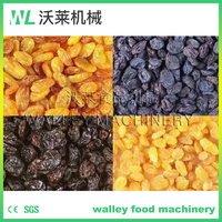 Prix d'usine, sécheuse tunnel HGS de marque Walley, 380V, en acier inoxydable, haute utilisation, déshydrateur alimentaire, air chaud, légumes, fruits