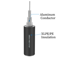 Venta al por mayor ABC Cable Conductor de aluminio XLPE PE LDPE PVC aislado Cable de caída superior Cobre Duplex Triplex Servicio Quadruplex