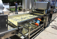 Ligne de production de chips de pommes de terre au prix d'usine, machine à fabriquer des chips de pommes de terre fraîches et équipement de transformation des flocons de pommes de terre
