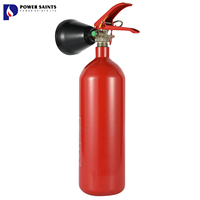 Incinérateur de feu électrique, vente en gros, Co2, 2Kg 5Kg