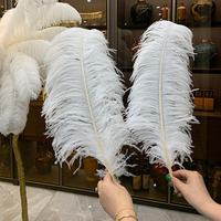 Plumes d'autruche blanchies pour accessoires vestimentaires DIY, décoration de costumes de scène pour mariages et fêtes, fournitures artisanales de carnaval
