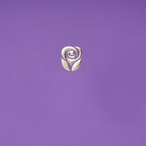 Scatola di Design gratuita confezione produttore di smalto <span class=keywords><strong>per</strong></span> <span class=keywords><strong>unghie</strong></span> custodia in rilievo scatola di imballaggio bronzata <span class=keywords><strong>per</strong></span> scatola regalo - Product Image 6