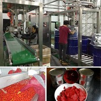 Ligne de production industrielle de sauce tomate ligne de production de pâte machine entière