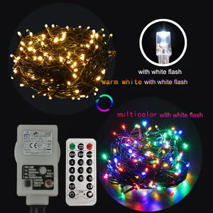 Christmas LED string light warm white multicolor Rgb changing with white flash, plug in with remote control outdoor