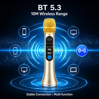 Microphone USB sans fil portable, micro de conférence, microfono inalambrico profesional, système de haut-parleurs pour karaoké, pour l'église