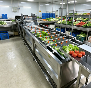 Precios de Máquinas Industriales para Lavar Vegetales, Máquina de Lavado y Secado de Vegetales de Hoja, Máquina de Lavado de Frutas y Vegetales con Burbujas - Product Image 6