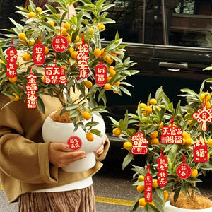 Décorations du Nouvel An, lanternes chinoises, ornements suspendus en papier pour l'intérieur, ensemble de décoration pour fête du Nouvel An chinois, 16 caractères - Product Image 2