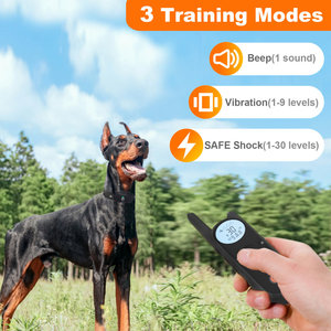 <span class=keywords><strong>Collar</strong></span> Antiladridos Inalámbrico para Perros Mimofpet de Largo Alcance, <span class=keywords><strong>Collar</strong></span> de Adiestramiento para Perros Recargable con Vibración y Descarga Eléctrica - Product Image 6