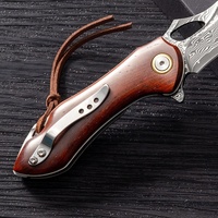 Couteau de chasse d'extérieur fabriqué par OEM Couteau tactique en acier VG-10 damassé à 67 couches avec manche en palissandre naturel