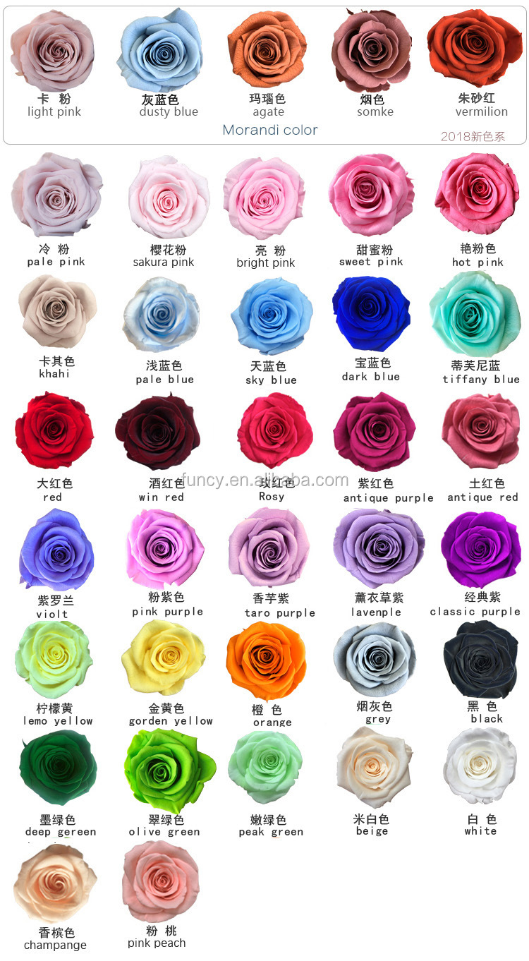 Color rosa