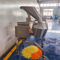 Commerciële groentesnijder en -rasp: alles-in-één machine voor aardappelen, wortelen, komkommers en meer, SUS304 roestvrij staal
