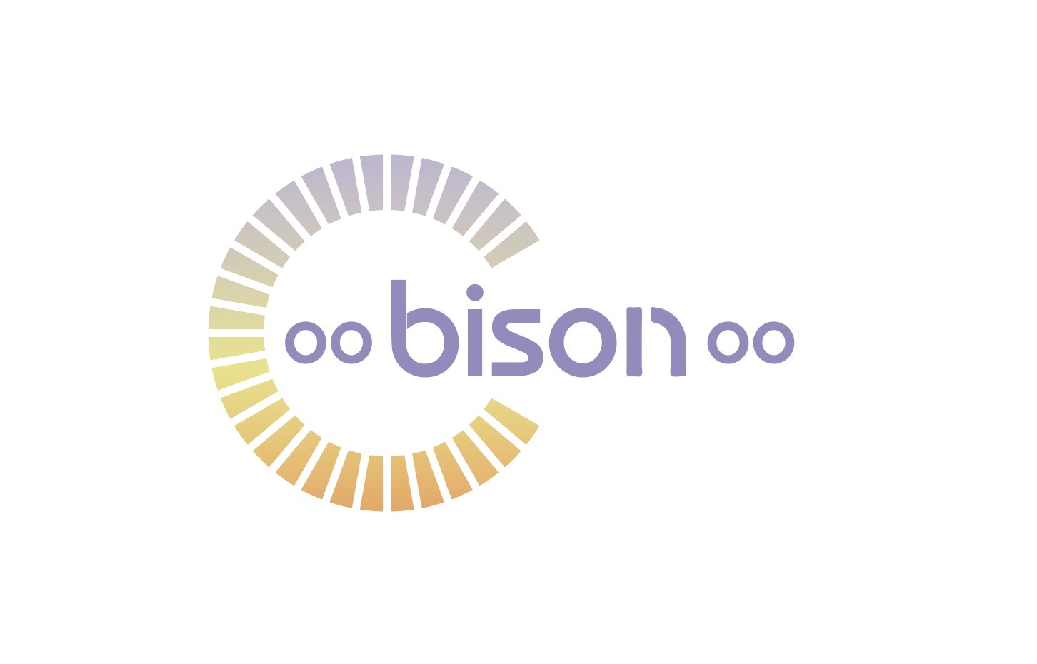 Bison Technology Co., Ltd. logo