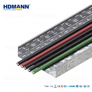 Hdmann OEM ODM Certificato UL, Produzione di Canaline per Cavi Galvanizzate da 10CM, 150MM, 300MM, 400MM, 450MM, 800MM per Impianti Elettrici Esterni - Product Image 2
