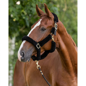 Black Nylon <b>Horse</b> Lead Rope with <b>Brass</b> Hardware and Padded Design for Secure Handling - Product Image 1