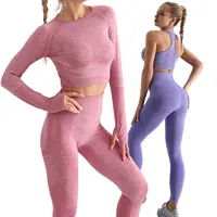 Seamless Yoga Suit, Sports Shirts, Crop Top, Bra, Leggings
