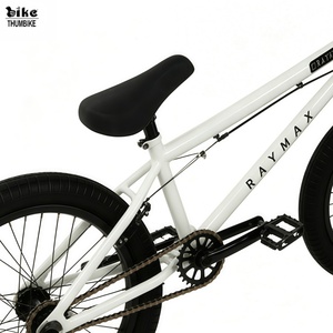 Vélo <span class=keywords><strong>BMX</strong></span> de course RAYMAX <span class=keywords><strong>20</strong></span> <span class=keywords><strong>pouces</strong></span>, cadre entièrement en chromoly, vitesse unique, frein TEKTRO U, roues en aluminium, pneus 20x2.40, moyeu 9T SAMOX - Product Image 2