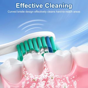 Têtes de rechange pour brosse à dents Philips Sonicare E-Series Essence <span class=keywords><strong>Xtreme</strong></span> Elite Advance et Cleancare - Product Image 3