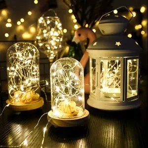 7FT 20 Led Battery Operated Zilver Koperdraad Starry String Licht Voor Diy Party Kerst Kostuum Bruiloft Decor