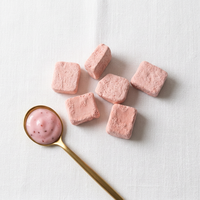 100% Pure Gedroogde Aardbeien Yoghurtblokjes Zonder Toevoegingen