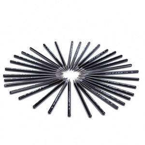 Ensemble de crayons en graphite sans bois personnalisés, 6 niveaux (Hb 2B 4B 6B 8B Ee), crayons de dessin au fusain pour esquisse/ombrage, mine noire - Product Image 2