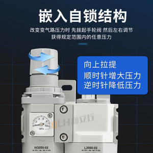 ตัวปรับแรงดันลมแบบนิวเมติกคู่ รุ่น L/C1010/2010/3010/4010-01/02 สำหรับเครื่องจักรงานไม้ - Product Image 2