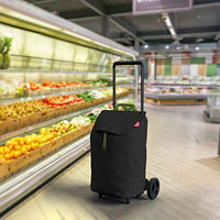 Chariot de courses Gimi Easy Black à poignée télescopique, pratique et durable