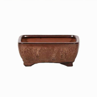 Pot Bunga Bonsai Lantai Mini Berlapis Hitam - Pot Tanaman Dalam Ruangan yang Imut dan Ramah Lingkungan