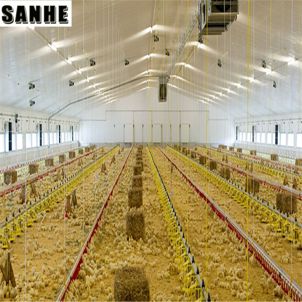 Durable and Efficient build a chicken coop for Optimal Animal Housing