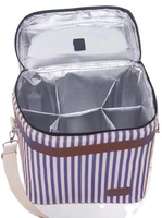 Bouteille vin transporteur rayure Champagne sac de transport étanche vin sac fourre-tout
