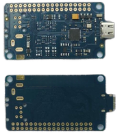 CT7601xR Master-Controller Unterstützt bis zu 32-Bit/768kHz PCM & DSD512 Digital-Audio-DAC-Modul-Decoder mit Anpassbarer Firmware