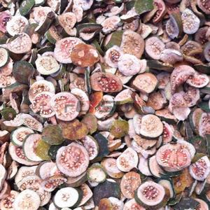 Máquina Secadora de Bomba de Calor para Batatas Moradas en Oferta, Equipo de Deshidratación de Vegetales y Procesamiento de Alimentos de Acero Inoxidable 304 - Product Image 5