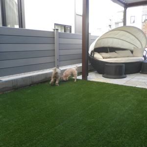 Cercado WPC duradero compuesto de madera al aire libre impermeable jardín esgrima al aire libre de la XF-D203 - Product Image 5